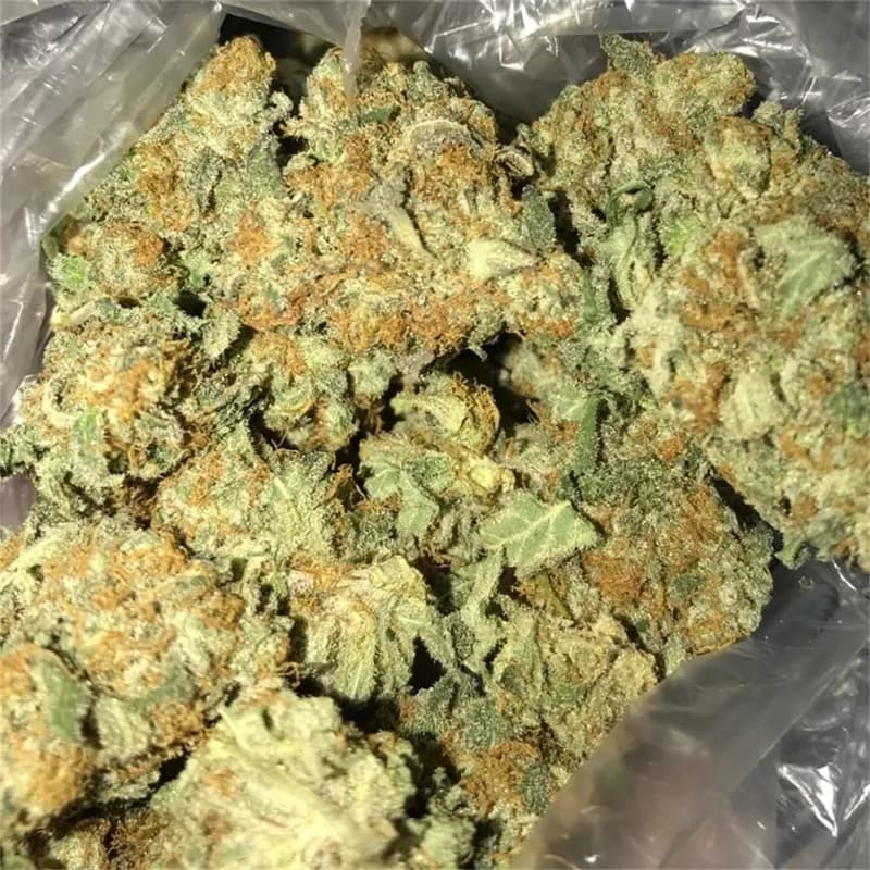 Cherry Alien